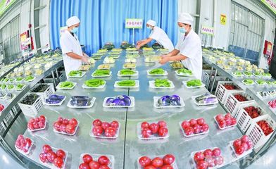 就業飯碗端得牢牢的 | 農副產品助力幸福生活