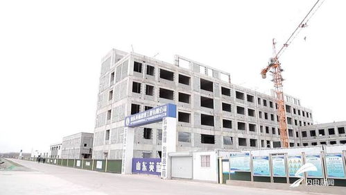 平原縣 聚焦綠色化工與農副產品精深加工，雙輪驅動沖刺百億產值新高地