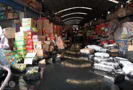 上海一淤泥處理場圍墻倒塌致農副產品市場被淹，應急處置工作展開